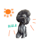 ふぁる男*（個別スタンプ：8）