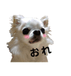 ふぁる男*（個別スタンプ：14）
