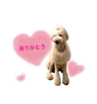 ふぁる男*（個別スタンプ：17）