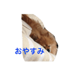 CRQ（個別スタンプ：2）