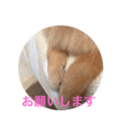 CRQ（個別スタンプ：6）