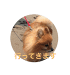 CRQ（個別スタンプ：10）
