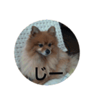CRQ（個別スタンプ：33）