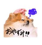 ぷちょぱふぃーno.7（個別スタンプ：21）