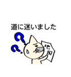 猫枝さんのスタンプ「いま○○中です」（個別スタンプ：25）