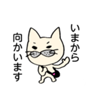 猫枝さんのスタンプ「いま○○中です」（個別スタンプ：28）