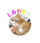 くくみみここのねこ（個別スタンプ：11）