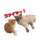 くくみみここのねこ（個別スタンプ：27）