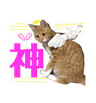 くくみみここのねこ（個別スタンプ：32）