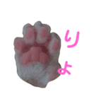 猫のとうふ（個別スタンプ：6）