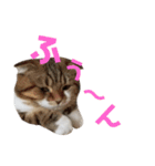 ひこ＆くー 8（個別スタンプ：1）