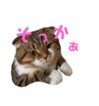 ひこ＆くー 8（個別スタンプ：2）