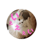 ひこ＆くー 8（個別スタンプ：12）