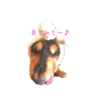 ちーさんのすきなもの（個別スタンプ：1）
