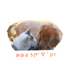 ちーさんのすきなもの（個別スタンプ：3）