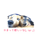 ちーさんのすきなもの（個別スタンプ：6）