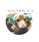 ちーさんのすきなもの（個別スタンプ：8）
