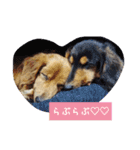 ちーさんのすきなもの（個別スタンプ：12）