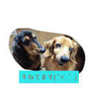 ちーさんのすきなもの（個別スタンプ：13）
