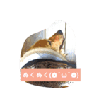 ちーさんのすきなもの（個別スタンプ：14）