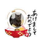 ワッツマンのスタンプ③（個別スタンプ：10）