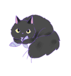 Big tail cat（個別スタンプ：23）