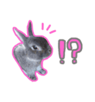 うさぎのそら（個別スタンプ：6）