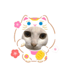 ゆう＆マーブル＆ゆず（個別スタンプ：6）