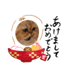 ゆう＆マーブル＆ゆず（個別スタンプ：8）