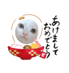 ゆう＆マーブル＆ゆず（個別スタンプ：15）