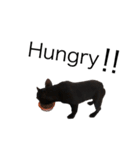 French bulldog ぶーた1（個別スタンプ：2）