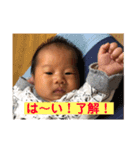 俊太スタンプ（個別スタンプ：13）