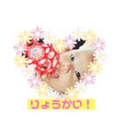 しい第2弾( ¨̮ )（個別スタンプ：9）