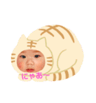 しい第2弾( ¨̮ )（個別スタンプ：16）