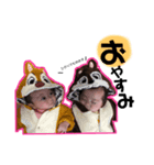 末次ふぁむ（個別スタンプ：2）