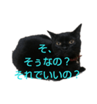 くろにゃんの日常（個別スタンプ：15）