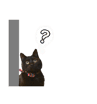 黒猫のビビのスタンプ①（個別スタンプ：2）