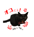 黒猫のビビのスタンプ①（個別スタンプ：4）