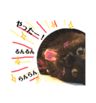 黒猫のビビのスタンプ①（個別スタンプ：5）