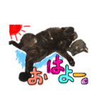 黒猫のビビのスタンプ①（個別スタンプ：9）