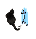 黒猫のビビのスタンプ①（個別スタンプ：16）