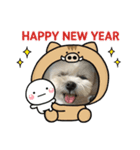 犬を愛する友人（個別スタンプ：2）