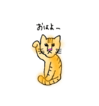 うち猫さんの日常会話 (基礎)（個別スタンプ：1）