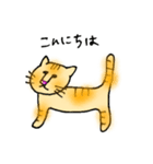 うち猫さんの日常会話 (基礎)（個別スタンプ：2）