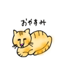 うち猫さんの日常会話 (基礎)（個別スタンプ：3）