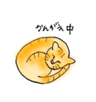 うち猫さんの日常会話 (基礎)（個別スタンプ：4）