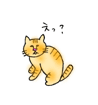 うち猫さんの日常会話 (基礎)（個別スタンプ：6）