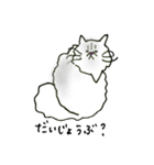 うち猫さんの日常会話 (基礎)（個別スタンプ：10）