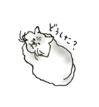 うち猫さんの日常会話 (基礎)（個別スタンプ：14）