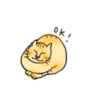 うち猫さんの日常会話 (基礎)（個別スタンプ：17）
